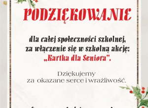Podsumowanie akcji - Kartka dla Seniora