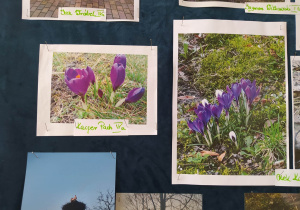 Uczniowskie fotografie.