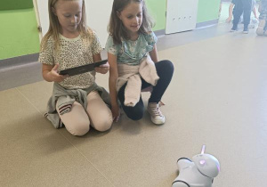Zabawy z robotami.