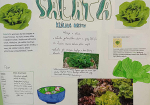 Plakat o sałacie.