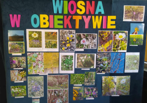 Wystawa prac.